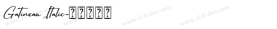 Gatineau Italic字体转换